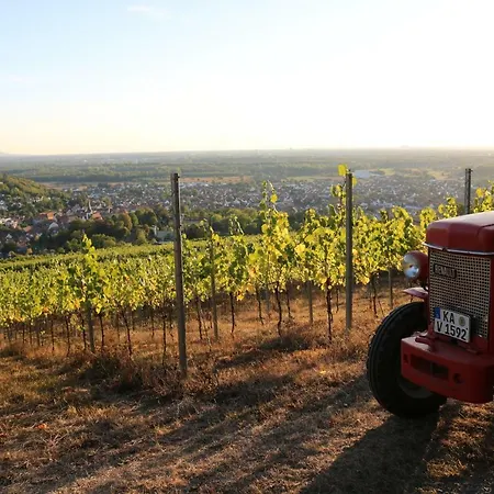 Soutterain - Mit Senkgarten