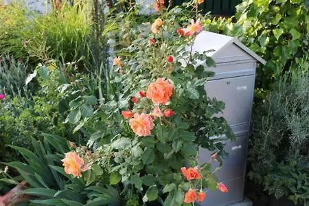 Apartment Soutterain - Mit Senkgarten Weingarten (Baden)