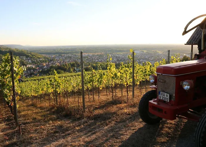 Soutterain - Mit Senkgarten