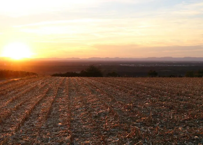 Apartment Soutterain - Mit Senkgarten